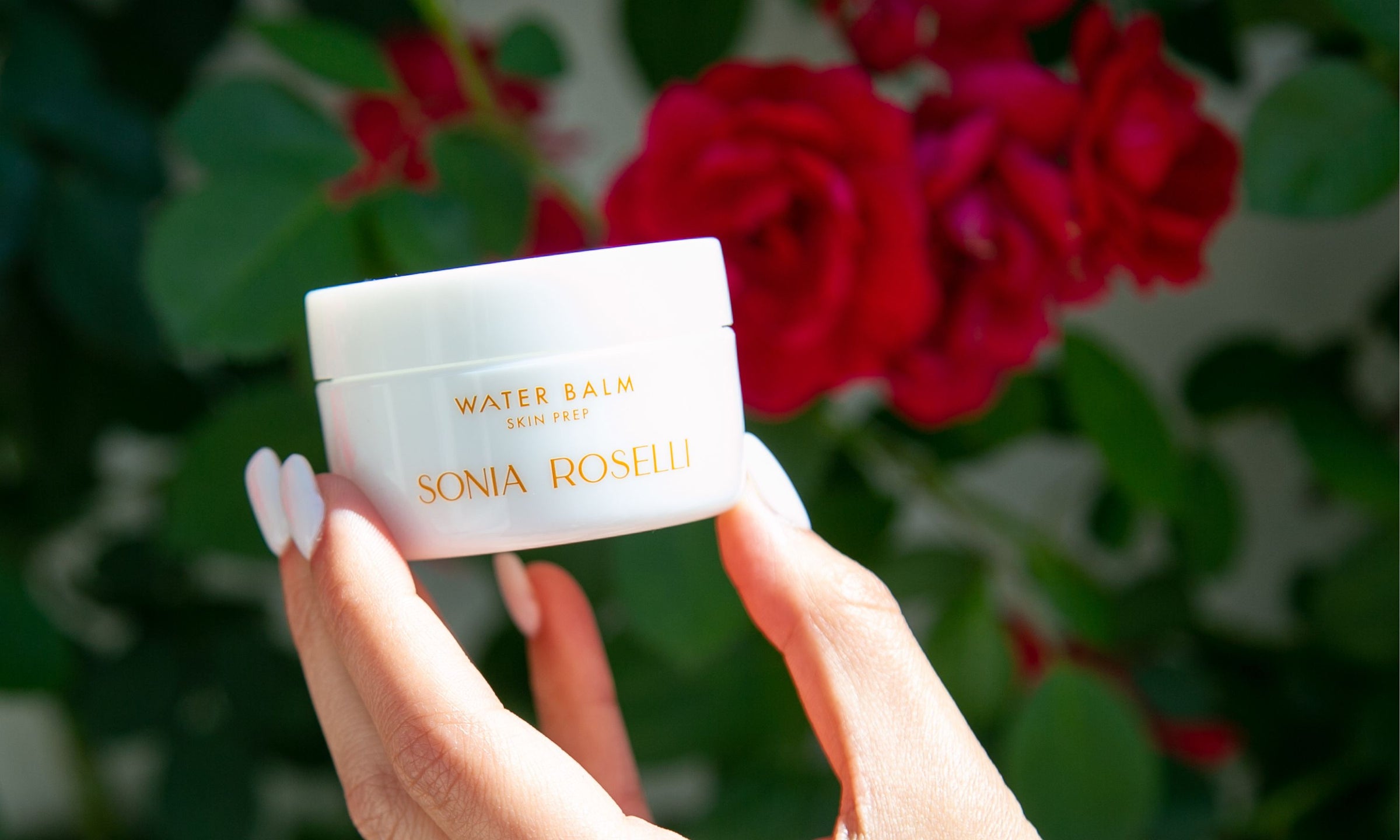 A hand holding Water Balm Moisturizer in front of a bush of roses.
